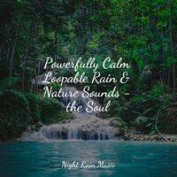 Powerfully Calm Loopable Rain & Nature Sounds - the Soul