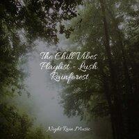 The Chill Vibes Playlist - Lush Rainforest