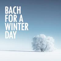 Bach for a Winter Day