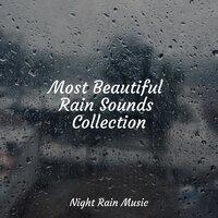 Most Beautiful Rain Sounds Collection