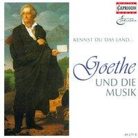 Goethe And Music, Vol. 2 - Wolf, H. / Schubert, F. / Mozart, W.A. / Beethoven, L. Van / Schumann, R. / Brahms. J. / Liszt, F. / Mendelssohn, Felix