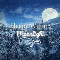 Sleepy Winter Moonlight