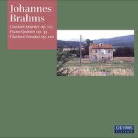 Brahms, J.: Clarinet Quintet / Piano Quintet / Clarinet Sonatas Nos. 1 and 2