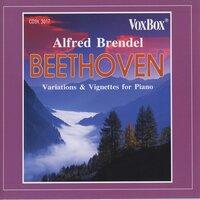 Beethoven: Variations & Vignettes for Piano