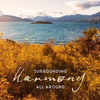 Surrounding Harmony All Around - Relaxing Music, Amazing Deep Rest & Relax, Sunny Chill Out 2020
