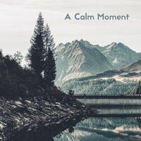 A Calm Moment
