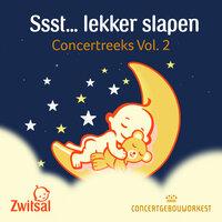Ssst... lekker slapen: Concertreeks, Vol. 2