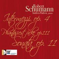 Schumann: Works for Piano