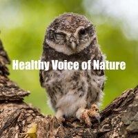 Healthy Voice of Nature