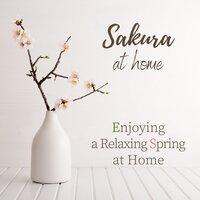 Sakura at Home - Enjoying a Relaxing Spring at Home