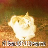61 Beautiful Dreams