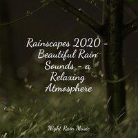 Rainscapes 2020 - Beautiful Rain Sounds - a Relaxing Atmosphere