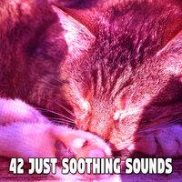 42 Just Soothing Sounds