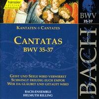 Bach, J.S.: Cantatas, Bwv 35-37