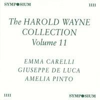 The Harold Wayne Collection, Vol. 11 (1902-1903)