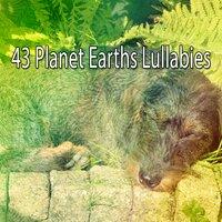 43 Planet Earths Lullabies