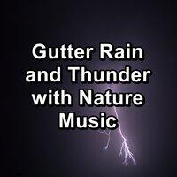 Gutter Rain and Thunder with Nature Music