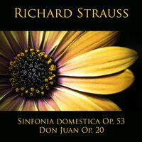 Richard Strauss: Sinfonia domestica Op. 53 - Don Juan Op. 20