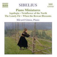 Sibelius: Piano Music, Vol. 4