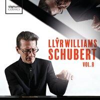 Schubert - Vol. 8