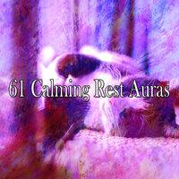 61 Calming Rest Auras