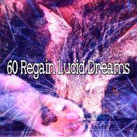 60 Regain Lucid Dreams