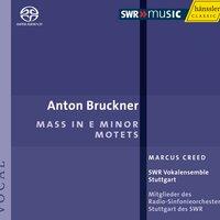 Bruckner: Mass in E Minor / Motets