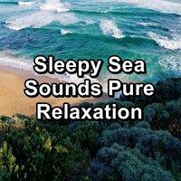 Sleepy Sea Sounds Pure Relaxation