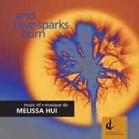Hui, M.: And Blue Sparks Burn