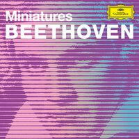 Beethoven Minatures