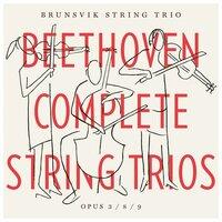 Brunsvik String Trio