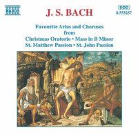 Bach, J.S.: Favourite Arias and Choruses