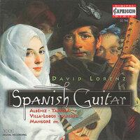 Lorenz, David: The Spanish Guitar