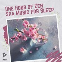 1 Hour of Zen Spa Music for Sleep