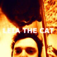 Leia The Cat