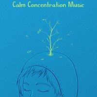 Calm Concentration Music