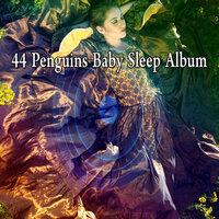 44 Penguins Baby Sleep Album