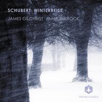 Winterreise, Op. 89, D. 911: No. 11, Fruhlingstraum
