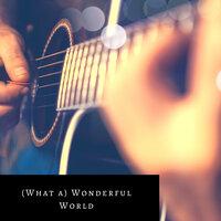 (What a) Wonderful World