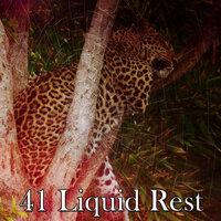 41 Liquid Rest