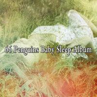 66 Penguins Baby Sleep Album