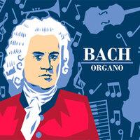 Bach Organo