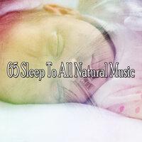 65 Sleep to All Natural Music