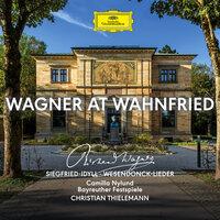Wagner: Wesendonck Lieder, WWV 91: V. Träume (Arr. Tarkmann for High Voice and Chamber Orchestra)