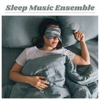 Sleep Music Ensemble: Binaural Beats for Deep Sleep