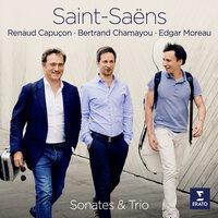 Saint-Saëns: Violin Sonata No. 1 in D Minor, Op. 75: II. Allegro molto