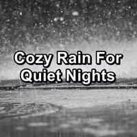 Cozy Rain For Quiet Nights