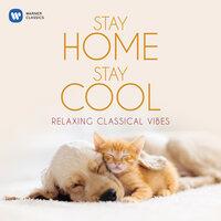 Stay Home, Stay Cool: Relaxing Classical Vibes