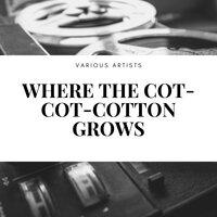 Where the Cot-Cot-Cotton Grows