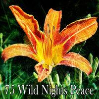 75 Wild Nights Peace